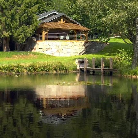 L'Ilet Aux 2 Etangs Vila Saint-Nabord Exterior foto