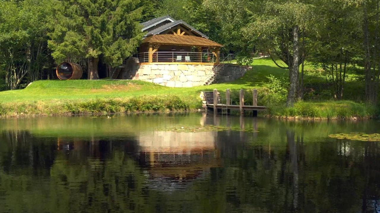 L'Ilet Aux 2 Etangs Vila Saint-Nabord Exterior foto